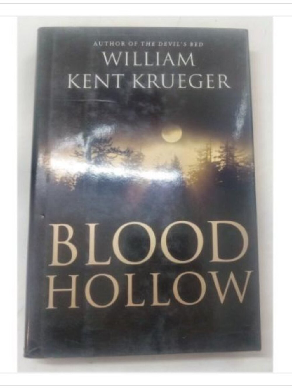Blood Hollow First Edition Atria Books Hardcover Mystery Fiction 2004 HC